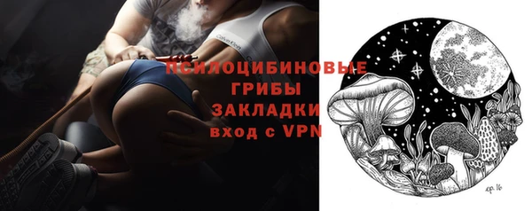тгк Богородицк