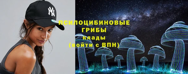 тгк Богородицк
