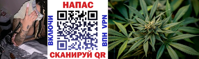 Каннабис ГИДРОПОН  цена   Екатеринбург 